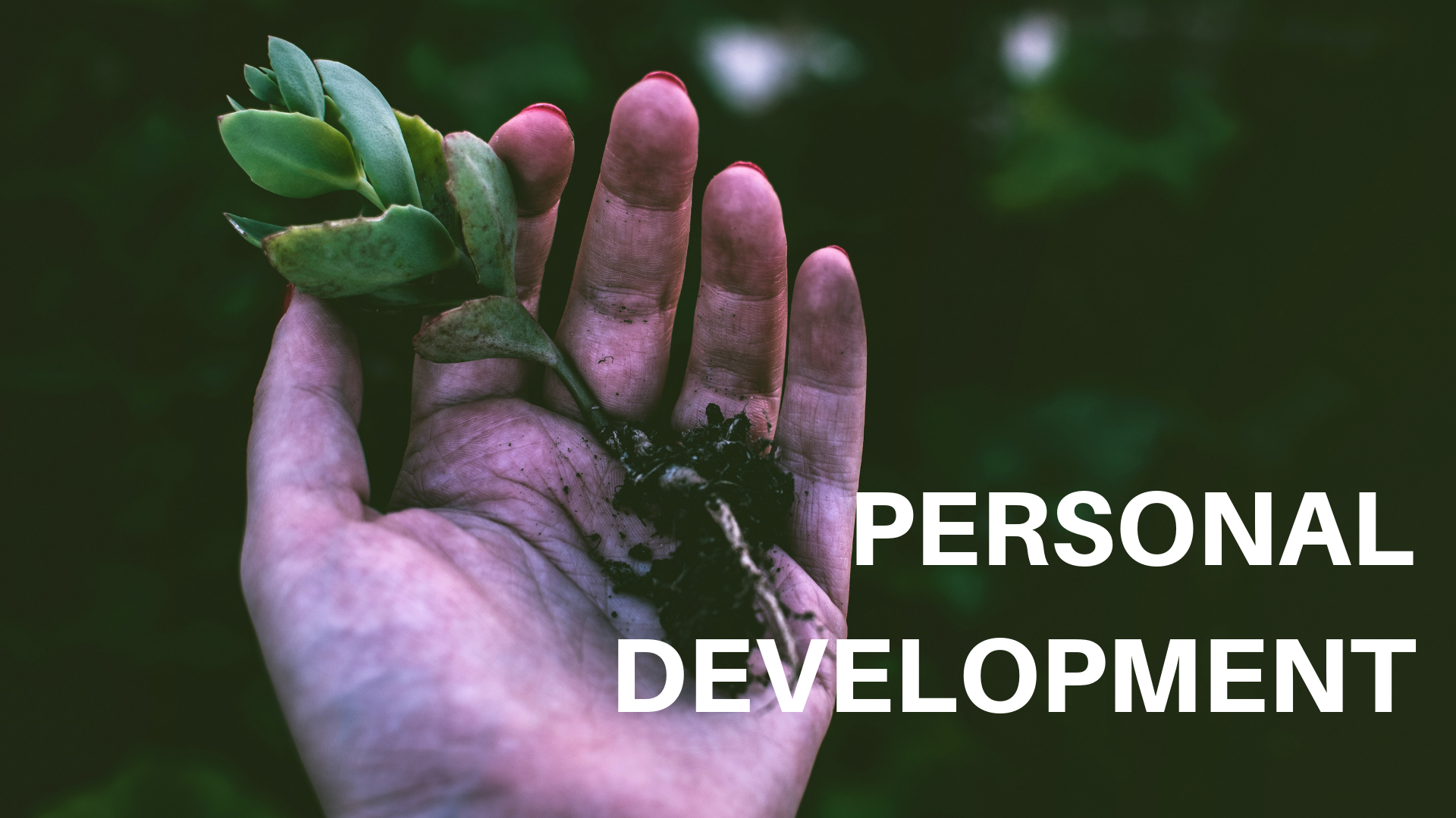 Προσωπική Ανάπτυξη